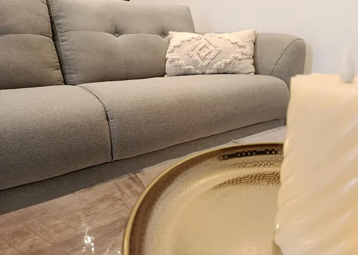 Apartment Le Trefle Dore T2, Wifi, Private Parking Space, Fetes Interdites